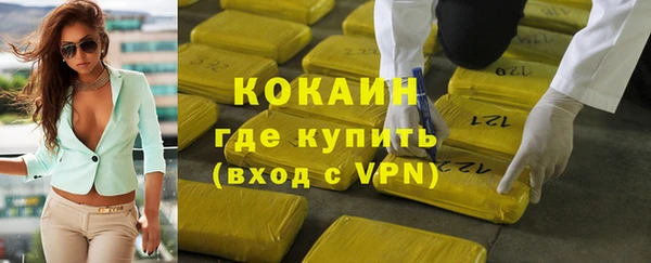сатива Горнозаводск
