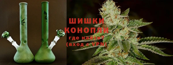 сатива Горнозаводск