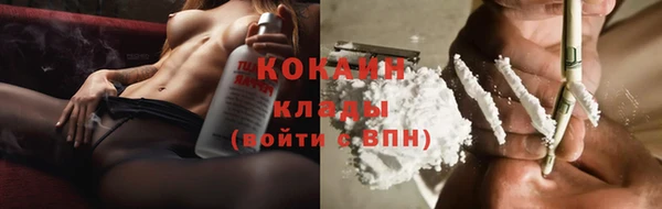 мдпв Горно-Алтайск