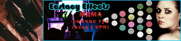 мдпв Горно-Алтайск