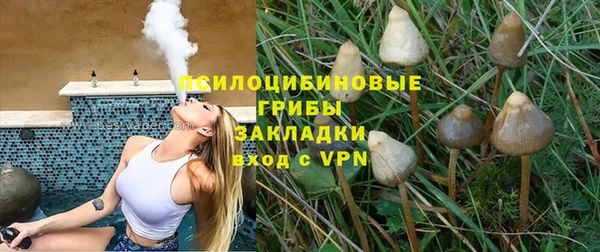 мдпв Горно-Алтайск