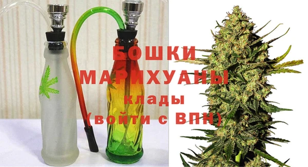 сатива Горнозаводск