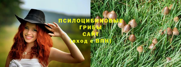 mdpv Горняк
