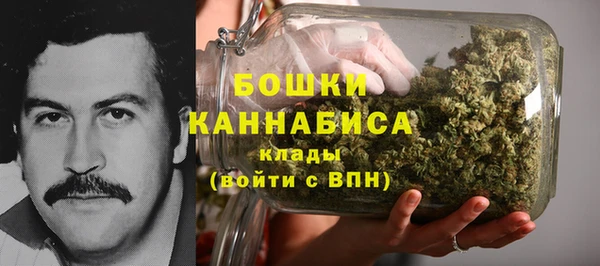 сатива Горнозаводск
