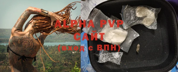 мдпв Горно-Алтайск