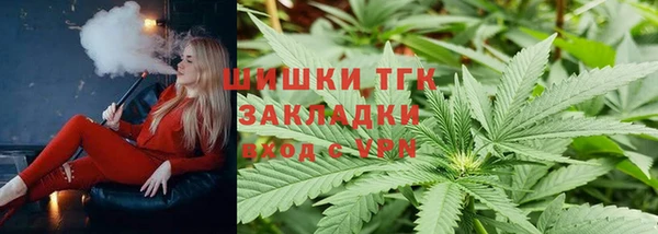 сатива Горнозаводск